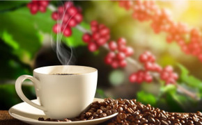 Giá cà phê hôm nay 8/2: Ít biến động