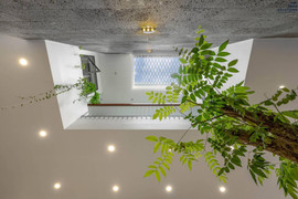 Nguyên tắc thiết kế giếng trời cho nhà ống thoáng mát