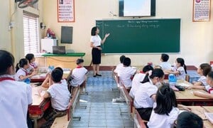 Giáo viên được phép dạy thêm học sinh tiểu học trong trường hợp nào?