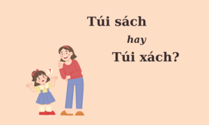 90% người sai chính tả: 'Túi sách' hay 'túi xách'?