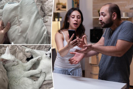 Ly kỳ chuyện phát hiện chồng ngoại tình khi thấy đồ đạc trong nhà đổi màu xanh