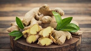 Nhỏ dầu gió vào gừng tươi có tác dụng gì?