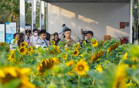 Thời tiết TP.HCM ngày 11/2: Ngày nắng nóng, đêm se lạnh