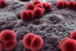 Nam quân nhân tử vong do nhiễm não mô cầu