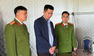 Khởi tố giám đốc doanh nghiệp khai thác 200.000 m³ đất trái phép