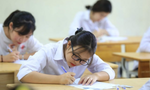 Nhiều trường đại học đưa môn Tin vào tổ hợp xét tuyển 2025