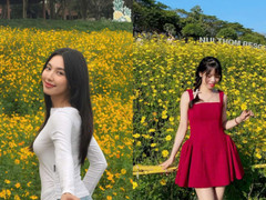 Hoa hậu Thùy Tiên và các thiếu nữ khoe dáng bên cánh đồng 'hoa vàng cỏ xanh'