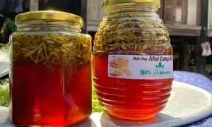 Mật ong ngâm hoa đu đủ đực có chữa được ung thư?