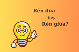 'Rèn dũa' hay 'rèn giũa' mới đúng chính tả?