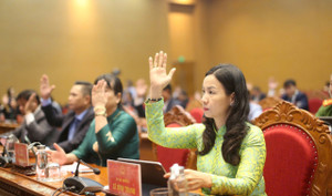 Bình Định giảm 50 tổ chức trong các sở sau sắp xếp, tinh gọn