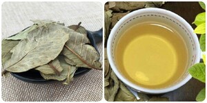 Chuyên gia chỉ ra 9 tác dụng của nước lá ổi khô với sức khoẻ
