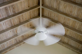 Vì sao trời nồm không nên bật quạt?