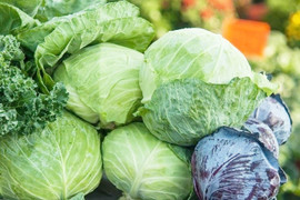 Ăn bắp cải có giúp giảm cân?