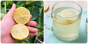 Uống nước chanh ấm trong 10 ngày cơ thể sẽ nhận được tác dụng gì? 