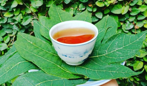 Điều gì sẽ xảy ra khi bạn uống nước lá đu đủ 3 lần/tuần?