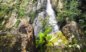 Mê đắm cảnh sắc Thác Bạc hùng vĩ ở Tam Đảo