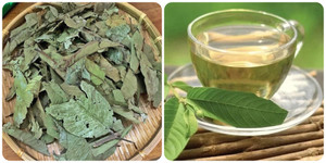 6 lý do bạn nên thường xuyên uống nước lá ổi