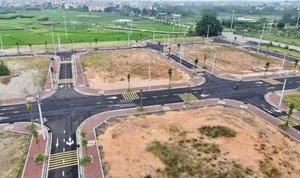 Đất huyện Phúc Thọ trúng đấu giá cao nhất 46,8 triệu đồng/m², gấp đôi khởi điểm