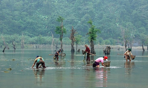 Đến Hà Giang ngắm hồ Noong - chốn 'bồng lai' giữa cao nguyên đá