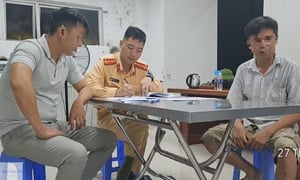 Dính loạt lỗi vi phạm, tài xế và chủ xe tải bị phạt gần 250 triệu đồng