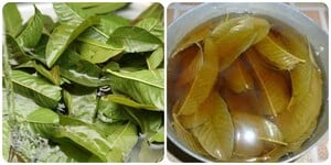 Có nên uống nước lá ổi mỗi ngày?