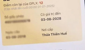 Sử dụng giấy phép lái xe máy bị trừ hết điểm, tài xế bị phạt bao nhiêu?