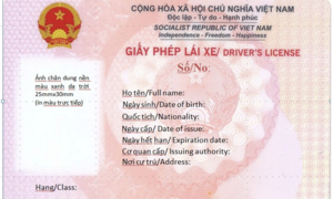 Mẫu giấy phép lái xe mới khi Bộ Công an cấp