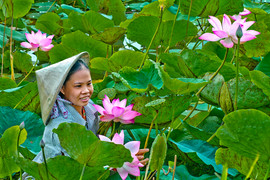 Đồng Tháp được hợp nhất từ những tỉnh nào?