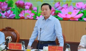 Phó Thủ tướng Trần Hồng Hà: Đánh giá đúng thực trạng thị trường lúa gạo