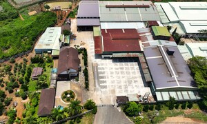 Tháo dỡ công trình xây trái phép dưới lưới điện 110kV ở Lâm Đồng