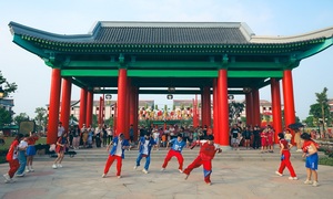 Cẩm nang 'đu Idol' tại Road to 8Wonder tại 'đảo tỷ phú'