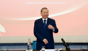 Tổng Bí thư Tô Lâm gặp mặt trí thức kiều bào tại Singapore