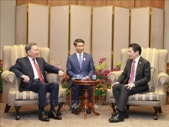 Tổng Bí thư Tô Lâm hội đàm với Thủ tướng Singapore Lawrence Wong