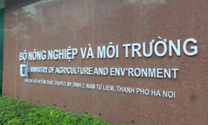 1.000 nhân sự Bộ Nông nghiệp và Môi trường xin nghỉ và có nguyện vọng xin nghỉ