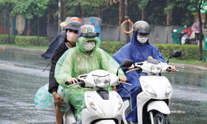 Thời tiết TP.HCM ngày 12/3: Ngày nắng, chiều tối mưa trái mùa