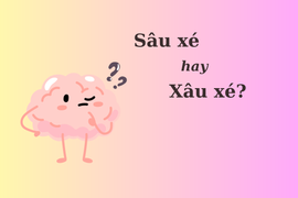 Nhiều người tranh cãi: 'Sâu xé' hay 'xâu xé'?