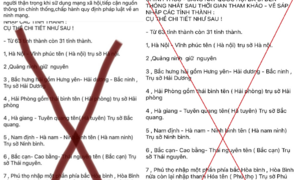 Đăng thông tin sai sự thật về sáp nhập tỉnh, nam thanh niên bị xử phạt