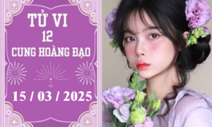 Tử vi 12 cung hoàng đạo ngày 15/03: Kim Ngưu khó khăn, Bảo Bình phát triển