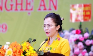 Bà Võ Thị Minh Sinh giữ chức Phó Bí thư Tỉnh ủy Nghệ An