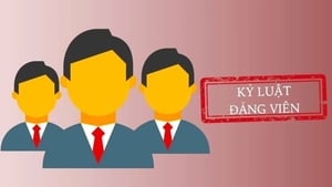 Đắk Nông kỷ luật nhiều cán bộ liên quan dự án điện gió, điện phân nhôm