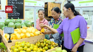Làm gì để nông dân không còn tư duy 'bán thứ mình có mà bán cái thị trường cần'?