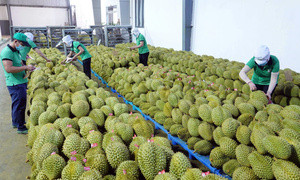 Việt Nam thuộc TOP 30 nước tăng trưởng thương mại cao nhất