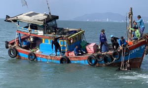 Tàu cá Quảng Nam chìm trên biển, 5 ngư dân chết và mất tích