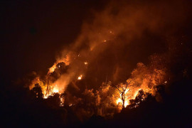 Một người tử vong khi tham gia dập tắt đám cháy rừng ở Tuyên Quang