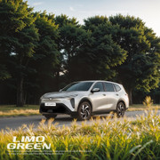 Tài xế săn đón Limo Green, tiết lộ loạt lý do không thể không xuống tiền