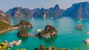 Năm bao nhiêu nước ta có 65 tỉnh thành?