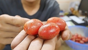 Những công dụng chữa bệnh từ cây nhót không phải ai cũng biết