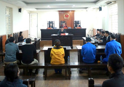 Lôi kéo cư dân cắt phá hệ thống camera chung cư ở Hà Nội, 5 người lĩnh án