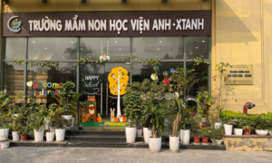 3 cô giáo ở Hà Nội bị buộc thôi việc sau vụ 'tố' bạo hành trẻ mầm non