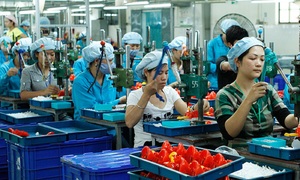 Chỉ thị của Thủ tướng về thúc đẩy phát triển doanh nghiệp nhỏ và vừa
